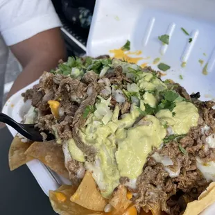 Asada nachos