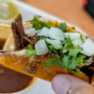 Quesabirria on homemade tortillas really takes it to another level