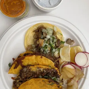 Carnitas Taco