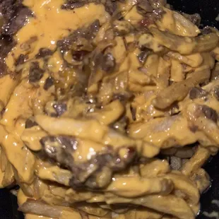 Carne Asada fries that were more of cheese fries lol  (Keep in mind though I asked for guac, and sour cream on the side)
