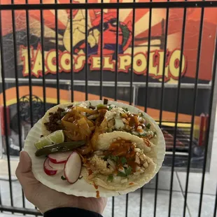 a hand holding a taco