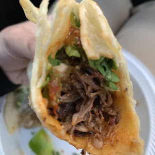 a hand holding a taco