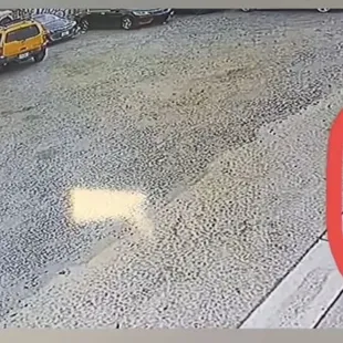 The owner throwing something at a cat walking by. Whether it&apos;s a cat or dog it&apos;s not right.