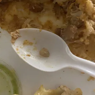 Picture of it right after I chewed it.