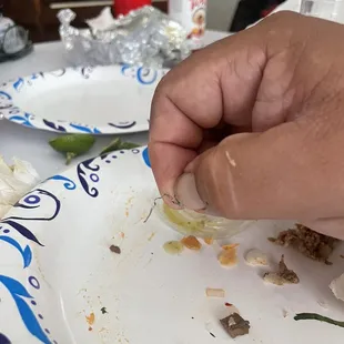 Wire from maybe a wired sponge?