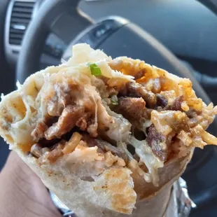 Asada Burrito with everything