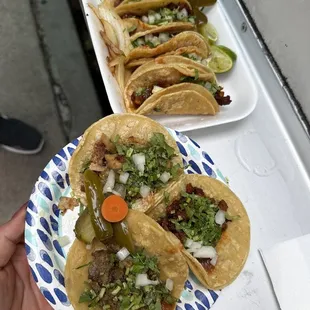 5 tacos de pastor in one plate. 1 taco de asada, 1 taco de carnitas, y 1 de chorizo en el otro plato