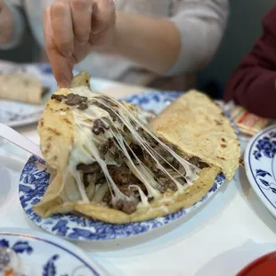 Steak Quesadilla