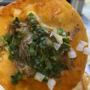 This is what&apos;s supposed to be a quesabirria taco ‍
