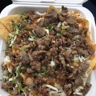 Nachos: beans, rice, cheese, sour cream, cilantro, onion, hot/mild salsa, choice of meat