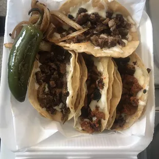 Vampiros: crunchy taco with melted mozzarella cheese with any choice of meat