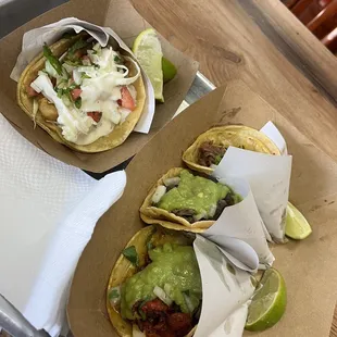 Chorizo tacos