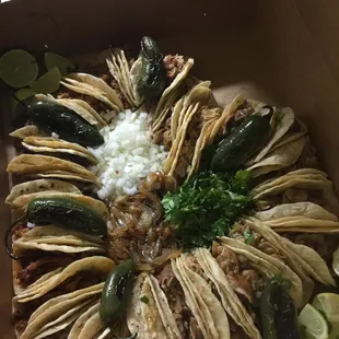 oysters and mussels, food