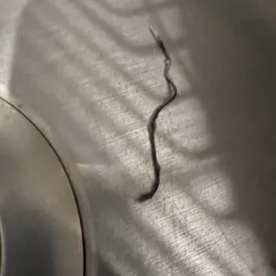 Thread in my 16oz beans