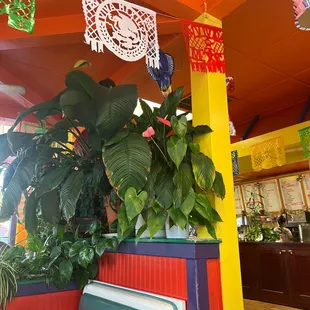 burritos and wraps, interior