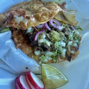 Asada Vampiro