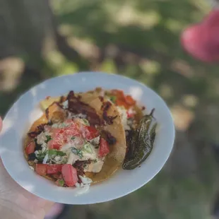 a person holding a plate of food
