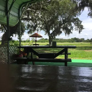 View from the seating area