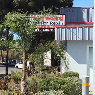 In front of Hayward Collision Repair
