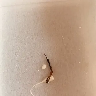 Exhibit A- roach leg