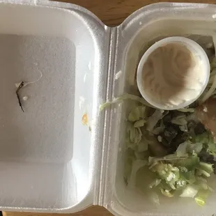 Cashier said it was a shrimp leg, but I disagree- it looks like a roach leg.