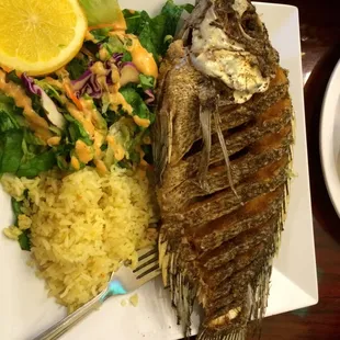 Mojarra (Tilapia)