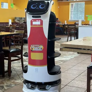 Robot that brings your food!