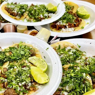 Enough suadero tacos for a party of six.