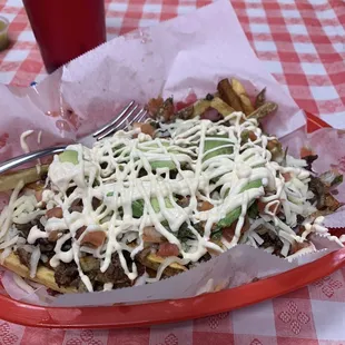 Carne Asada fries