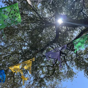 Such a take the stress away dining spot with Amazing Birria Tacos!!