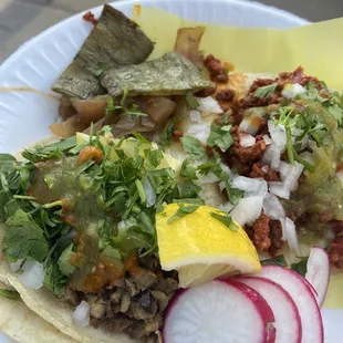 1 asada &amp; 1 Chorizo with Nopal(cactus) Grilled onions