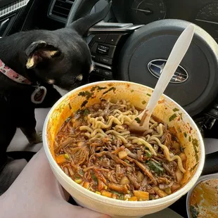 Birria Ramen (and a begging Chihuahua)