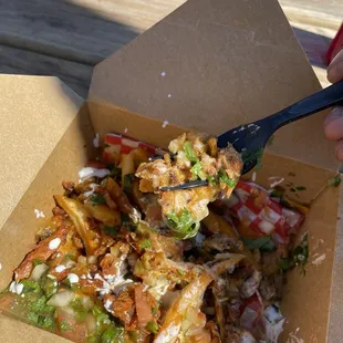 Carne Asada Fries de Pastor