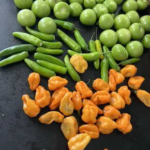 Fresh homemade Salsa!