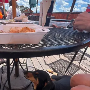 Our boy enjoying the shade