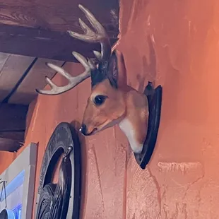 A deer watches over diners at Tacos La Mina.