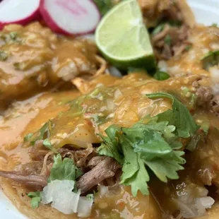 Pollo