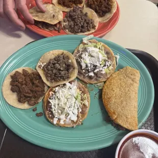 Where are the blue tortilla?