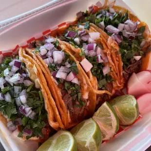 Quesibirrias