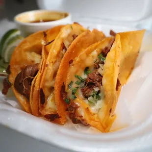 Quesa Birria Taco
