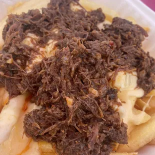 Birria fries