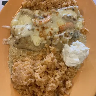 Shrimp Enchilada
