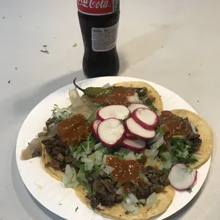 Están ricos los tacos