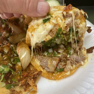 Quesabirria Taco