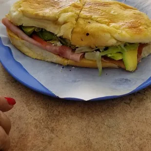 a sub sandwich on a paper plate