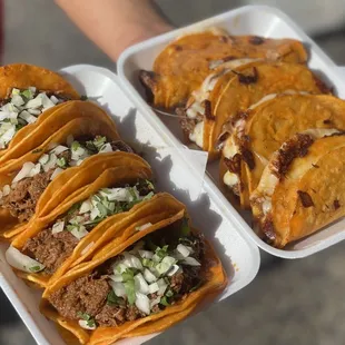 Tacos Los 98