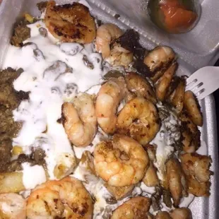 SO MUCH SHRIMP OMG