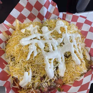 Carne Asada Fries