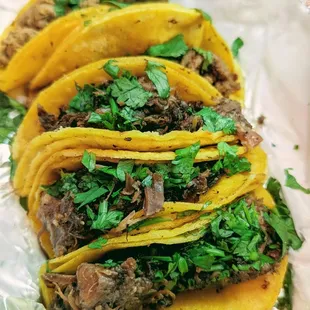 Barbacoa Tacos