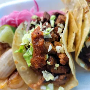 Pork adobada taco on corn